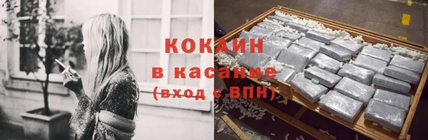 молекула духа Богданович