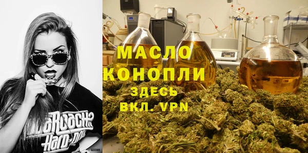молекула духа Богданович
