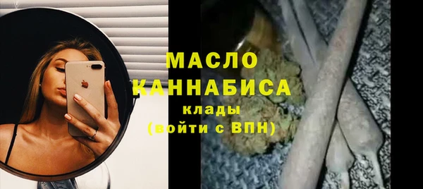 молекула духа Богданович