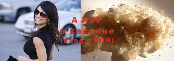 молекула духа Богданович