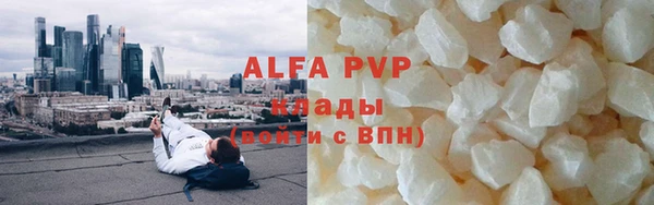 молекула духа Богданович