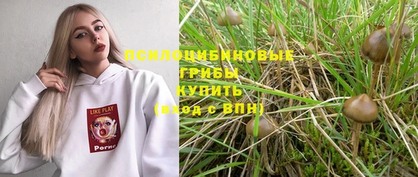 мет Богородицк