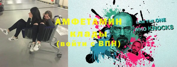 молекула духа Богданович