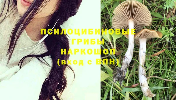 мет Богородицк