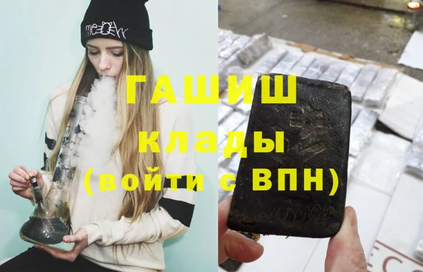 молекула духа Богданович