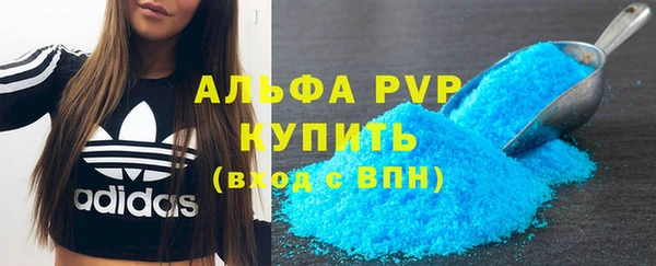 спиды Бородино