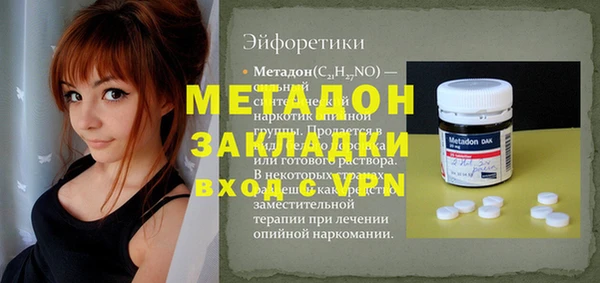 молекула духа Богданович