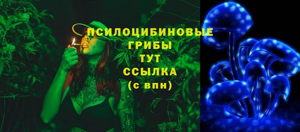 молекула духа Богданович